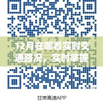 12月必备APP，实时交通路况掌握，专业测评与介绍