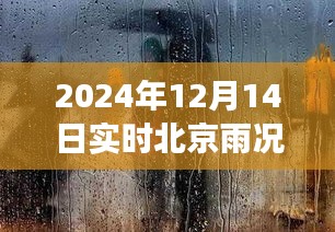 北京雨天的温情时光，2024年12月14日实时雨况与温馨日常故事