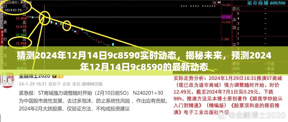 揭秘未来，预测2024年12月14日9c8590的最新动态展望