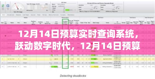 数字时代下的预算实时查询系统，开启自信与成就感的转变之旅