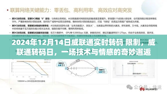 技术与情感的奇妙交汇，威联通转码日限制揭秘（2024年12月14日）