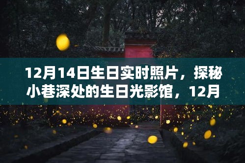 生日光影馆，记录12月14日生日者的独特时光