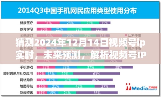 未来展望，解析视频号IP在2024年12月14日的实时动态与预测