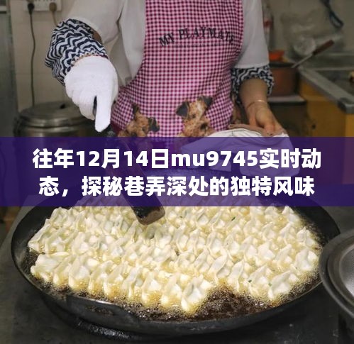 隐藏在冬日巷弄深处的独特风味，MU9745特色小店纪实之旅的实时动态探索