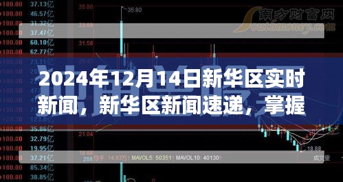 新华区新闻速递，掌握实时新闻解读技能，应对未来挑战（2024年12月14日版）