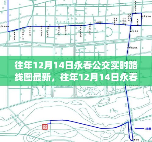 往年12月14日永春公交实时路线图解析及最新动态