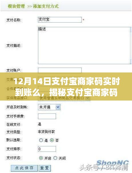 揭秘，12月14日支付宝商家码实时到账的真相与详解