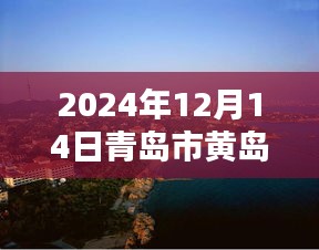 揭秘青岛市黄岛区气候实时报告，黄岛气候深度解析（2024年12月14日）