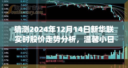 新华联股价走势预测，温馨日常与股市友情的交汇点——2024年12月14日走势分析