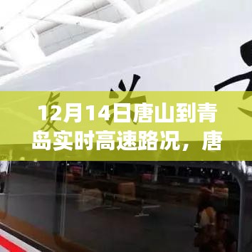 12月14日唐山至青岛高速实时路况解析与个人立场阐述