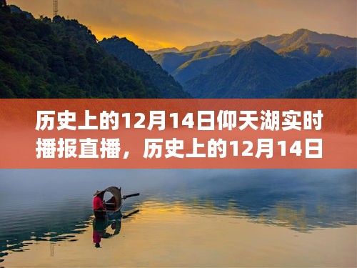 历史上的12月14日仰天湖实时播报直播，全面评测与详细介绍