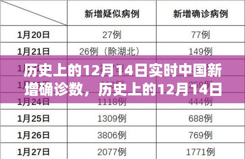 历史上的12月14日，中国实时新增确诊数的回顾与洞察