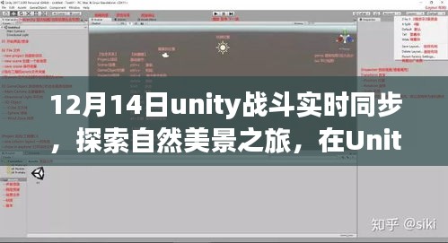 Unity战斗实时同步，自然美景之旅，探索内心平和与宁静的宁静角落