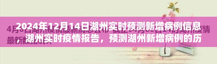 湖州实时疫情报告，预测新增病例历程与影响（基于2024年视角）