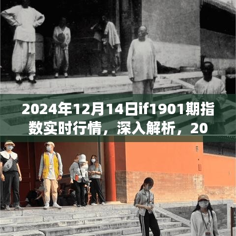 深入解析，2024年12月14日IF1901期指数实时行情特性、体验与竞争环境分析