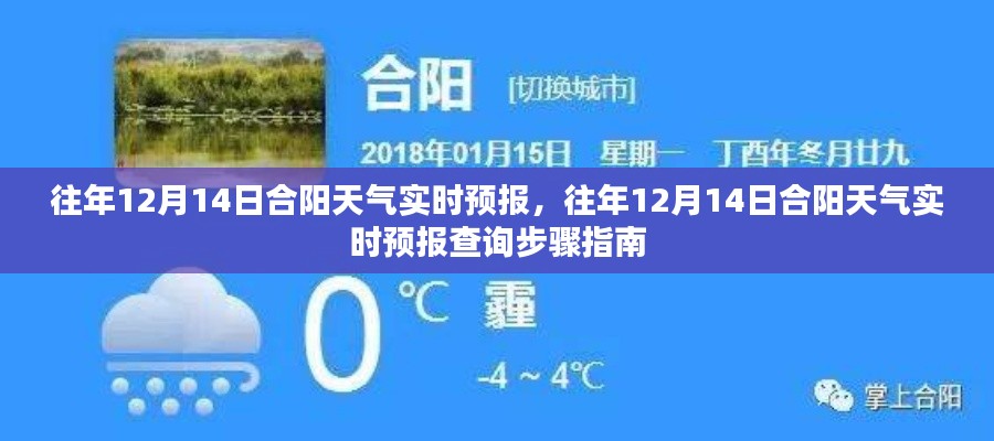 往年12月14日合阳天气实时预报，查询步骤指南及最新天气预报信息速递