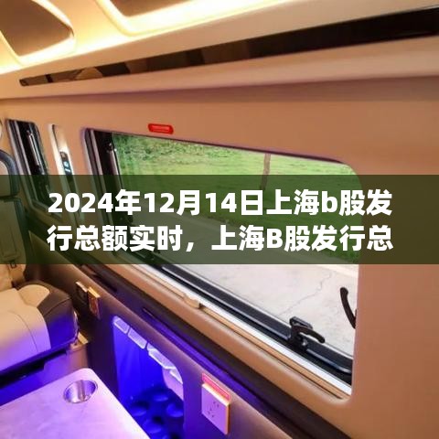 2024年12月14日上海B股发行总额实时解析，回顾与影响