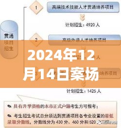 2024年12月14日案场实时播报详解，步骤指南与操作技巧