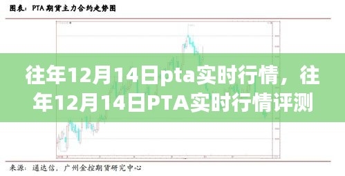 往年12月14日PTA实时行情深度解析，特性、体验、竞品对比及用户群体全方位分析