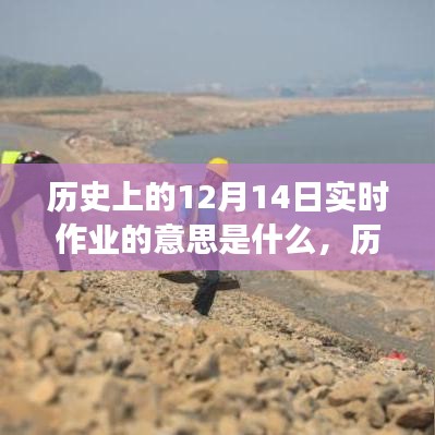 历史上的12月14日实时作业，深度解读其含义与意义标题，历史上的12月14日实时作业，深度解读作业含义及其重要性