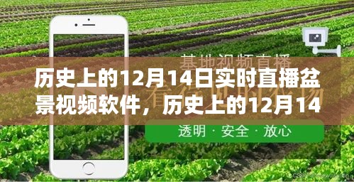 历史上的12月14日盆景视频软件实时直播的影响与启示