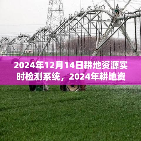 2024年耕地资源实时检测系统应用与展望，未来农业智能化监测的新篇章