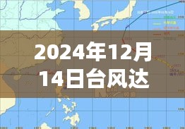 台风达维临近，最新实时消息与观点分析（2024年12月14日）