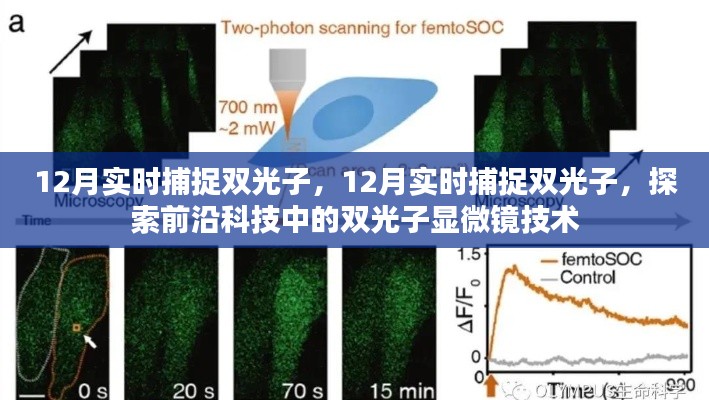 探索前沿科技，双光子显微镜技术的实时双光子捕捉