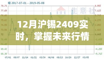 12月沪锡2409实时交易入门指南，从初学者到进阶用户的行情掌握