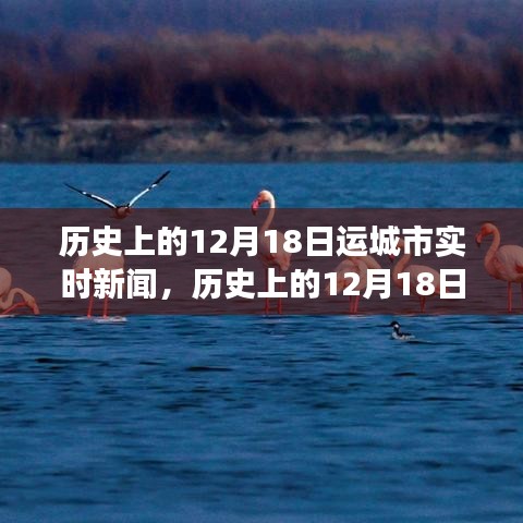 历史上的12月18日运城市实时新闻深度解析与用户体验评测