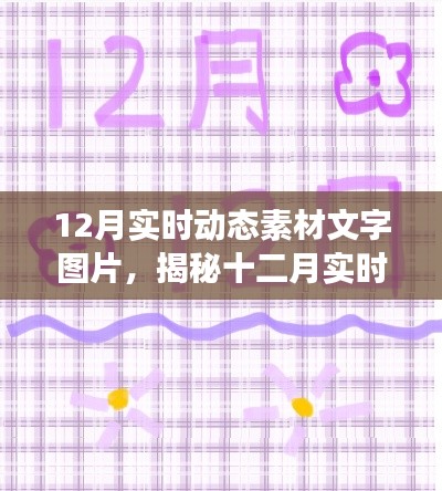 揭秘十二月实时动态素材，文字与图片的交融时刻