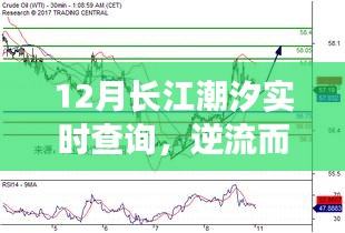 长江潮汐实时查询系统，逆流而上，潮汐引领自信与成就之路