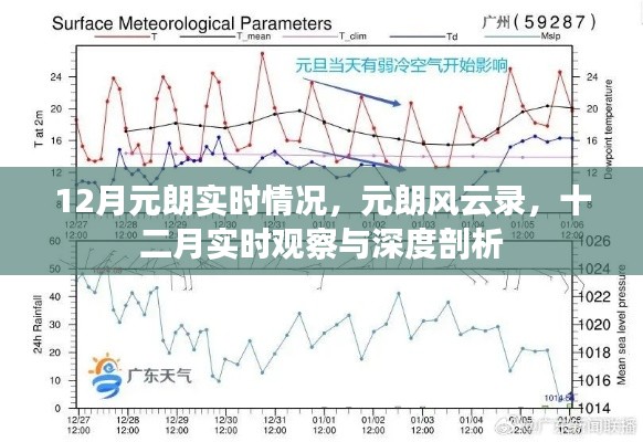 元朗风云录，十二月实时观察与深度剖析