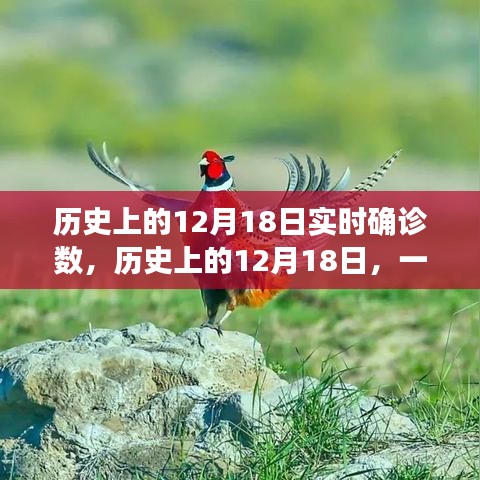 历史上的十二月十八日，自然美景之旅与实时确诊数回顾