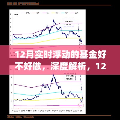 深度解析，12月实时浮动基金的特性、用户体验与市场竞争优势