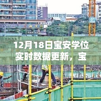 12月18日宝安学位实时数据更新指南，初学者与进阶用户适用