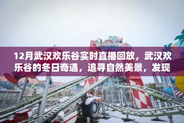 武汉欢乐谷冬日奇遇，追寻自然美景，直播回放探寻内心宁静力量