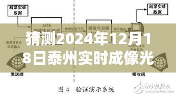 揭秘泰州实时成像光纤，预测与获取数据的步骤指南（2024年12月18日版）