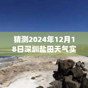 深圳盐田区天气预报，解读未来天气变迁与实时查询预测结果（预测时间，2024年12月18日）