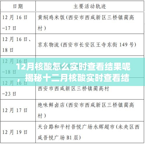 揭秘十二月核酸实时查看结果的途径，背景、进展、影响及如何查看核酸结果