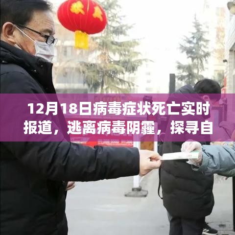 12月病毒实时报道，探寻自然美景，逃离病毒阴霾的治愈之旅