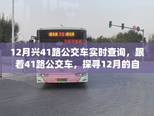 探寻自然秘境的心灵之旅，跟随兴公交41路，体验十二月风情之旅