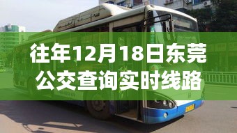 往年12月18日东莞公交实时线路查询指南