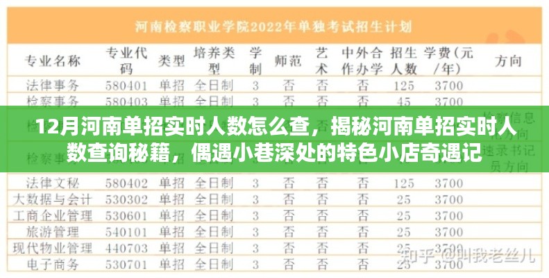 河南单招实时人数查询攻略与小巷特色小店奇遇记