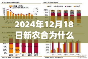 新农合实时报销的挑战与成长之路，拥抱变革，解析实时报销难题与成长之路（2024年12月18日）