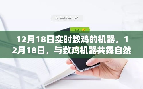 12月18日与数鸡机器共舞，探寻自然之美，启程内心平和之旅