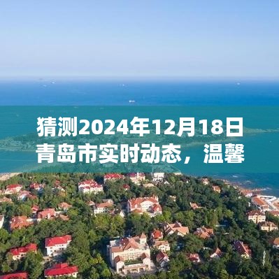 2024年青岛未来展望，温馨日常与惊喜陪伴的魔力