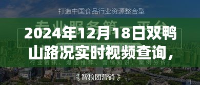 掌握双鸭山路况实时视频查询技巧，轻松科普，以2024年12月18日为例