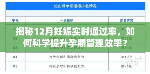 揭秘，如何科学提升孕期管理效率与12月妊娠实时通过率详解