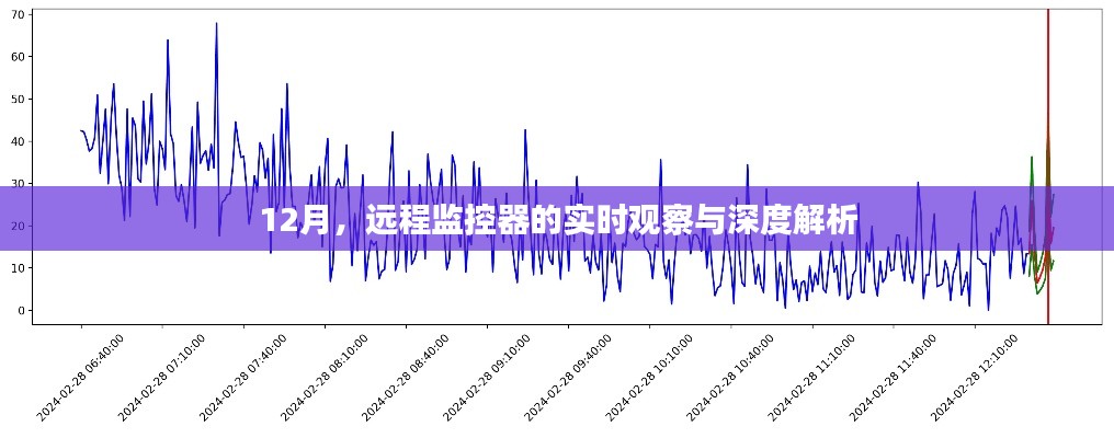 12月远程监控器实时观察与深度解析，洞悉细节，掌握全局